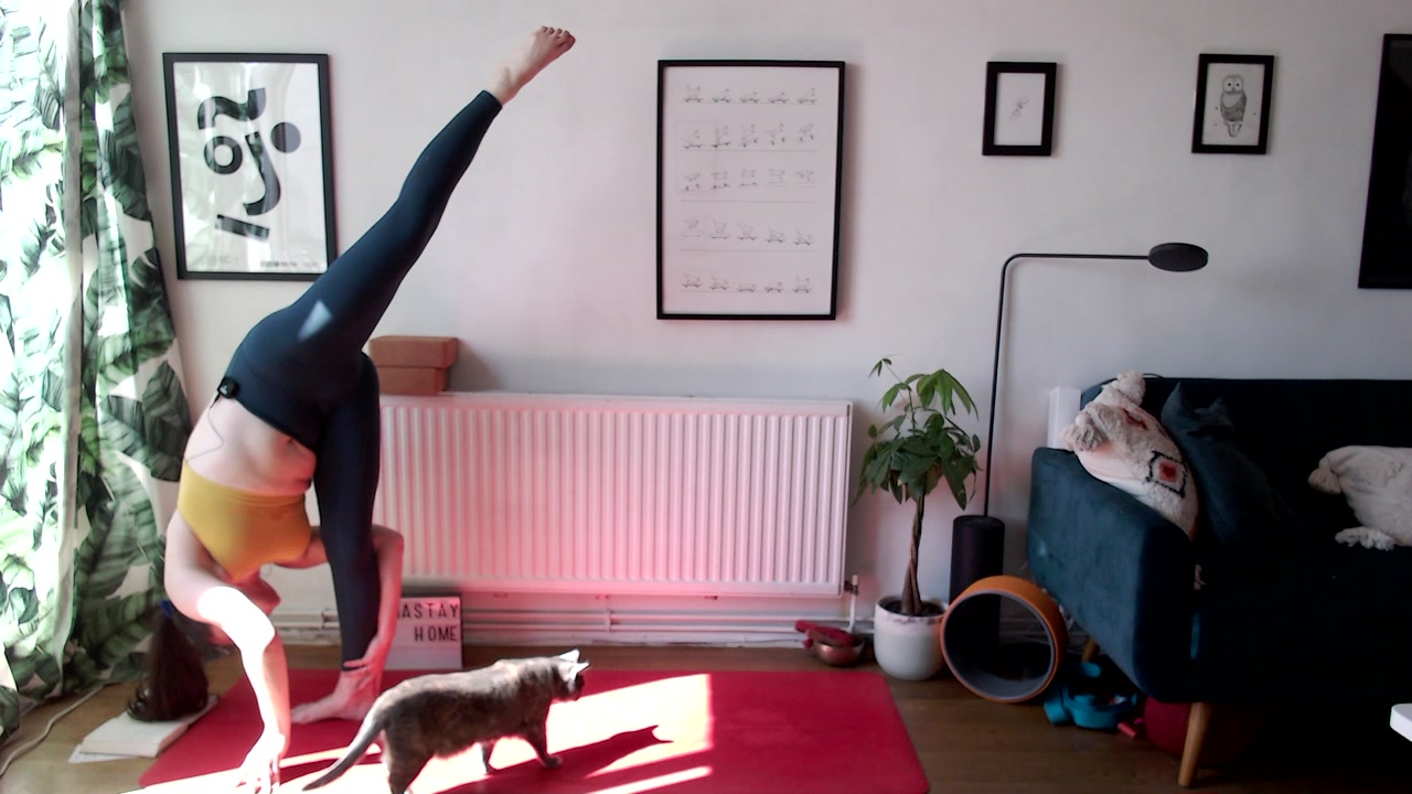 Mandala Vinyasa • Earth